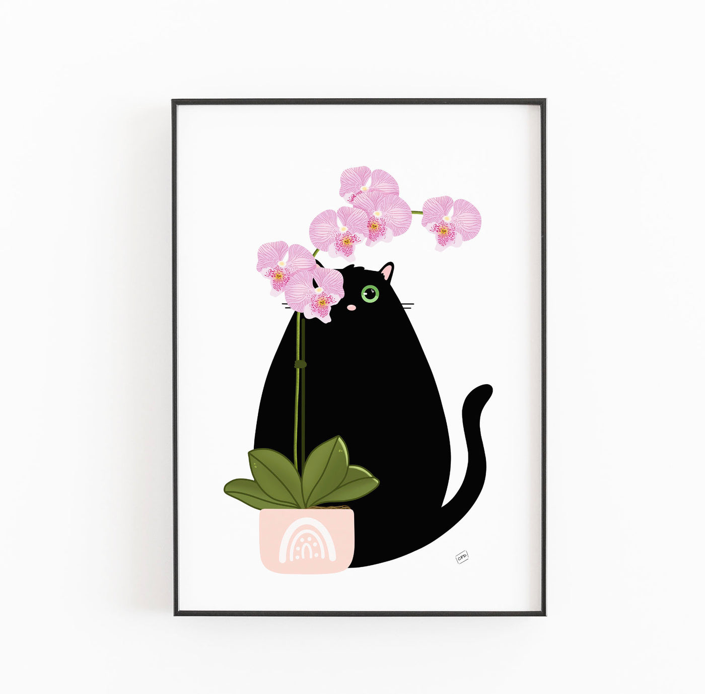 Black Cat Orchid Print